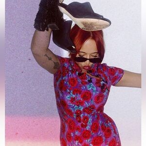 NWT Zara Frog Button Dress